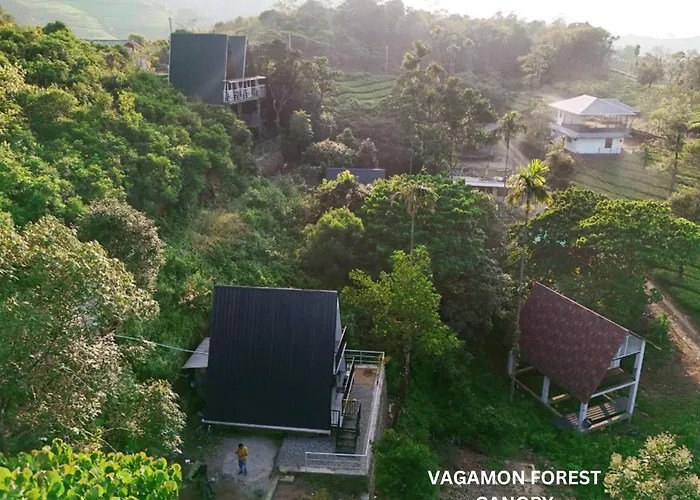Vagamon Forest Canopy