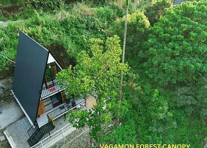 Vagamon Forest Canopy