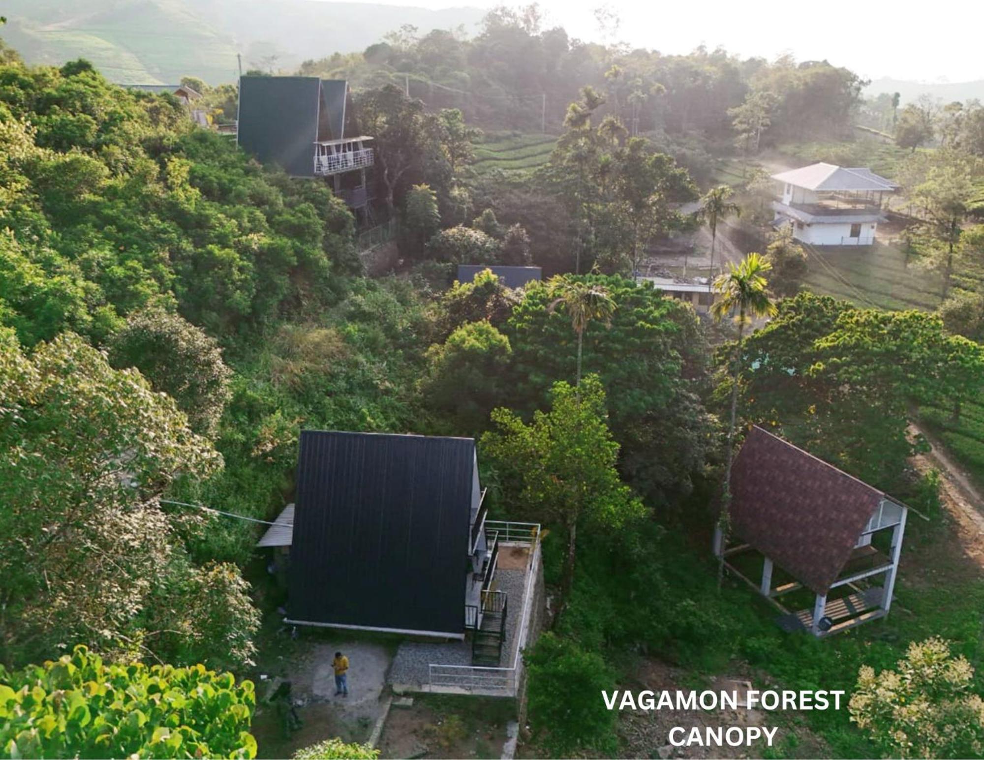 Forest Canopy Vagamon